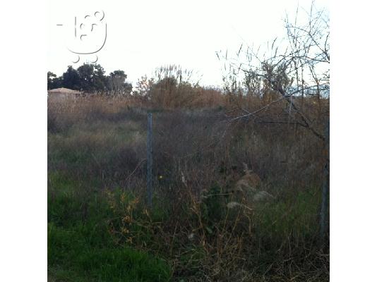 Οικόπεδο 766τ.μ. ΜΑΡΑΘΩΝΑΣ - ΚΑΤΩ ΣΟΥΛΙ ΣΧΟΙΝΙΑΣ